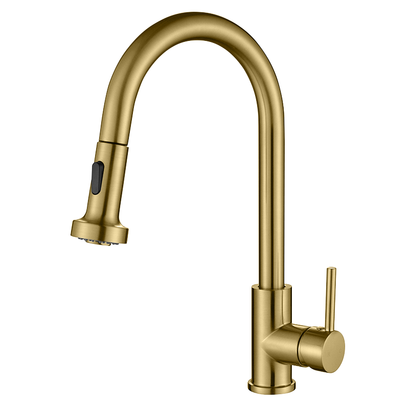 GFD8105 Kitchen Faucet
