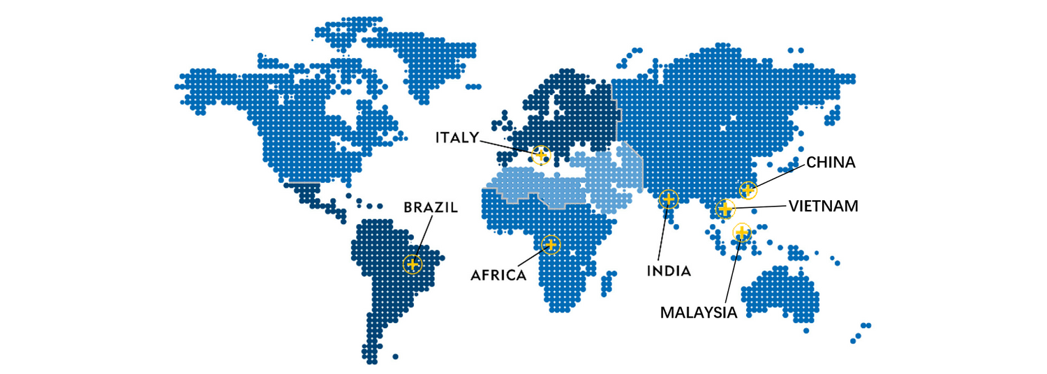 GFD worldwide importer