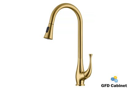 GFD8101 Kitchen Faucet