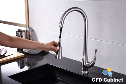 GFD8101 Kitchen Faucet