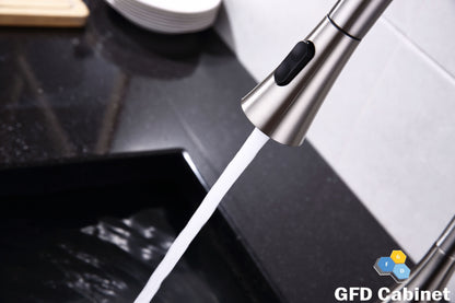 GFD8101 Kitchen Faucet