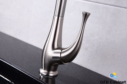 GFD8101 Kitchen Faucet