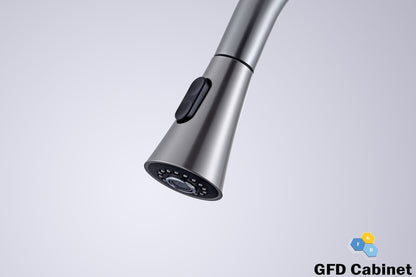 GFD8101 Kitchen Faucet