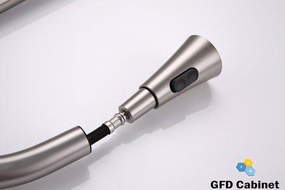 GFD8101 Kitchen Faucet