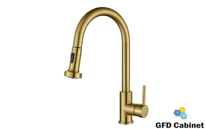GFD8105 Kitchen Faucet