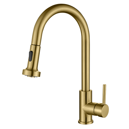 GFD8105 Kitchen Faucet