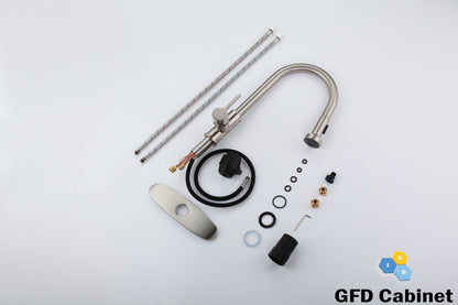 GFD8105 Kitchen Faucet