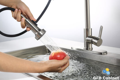 GFD8105 Kitchen Faucet