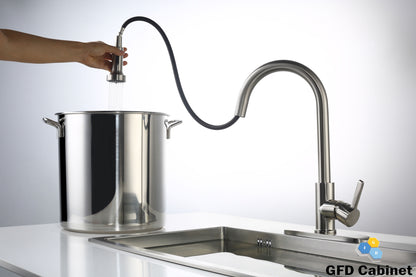 GFD8105 Kitchen Faucet