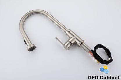 GFD8105 Kitchen Faucet